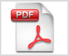 icono pdf grande icono pdf grande