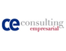 ce consulting